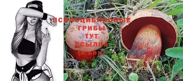 jwh Верея
