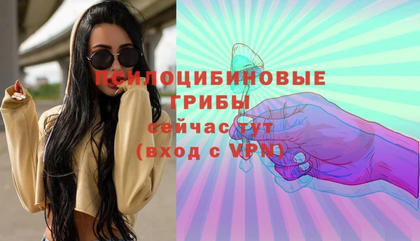 гашик Верхний Тагил