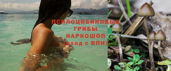 гашик Верхний Тагил