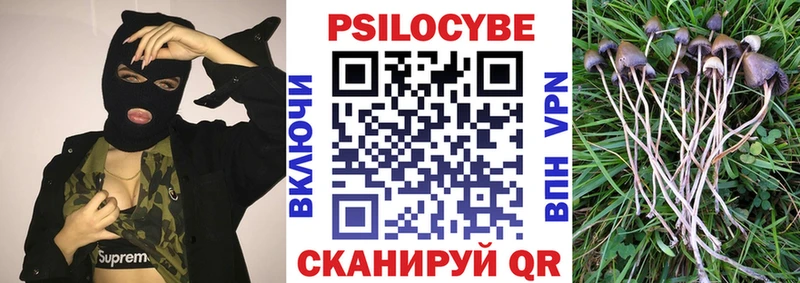 Купить  Всеволожск  Галлюциногенные грибы мицелий 