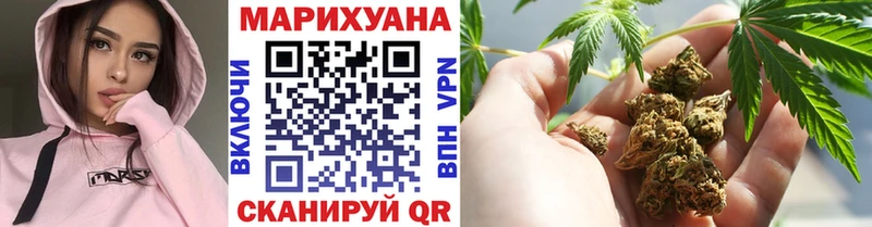 Купить где Всеволожск Бошки марихуана семена